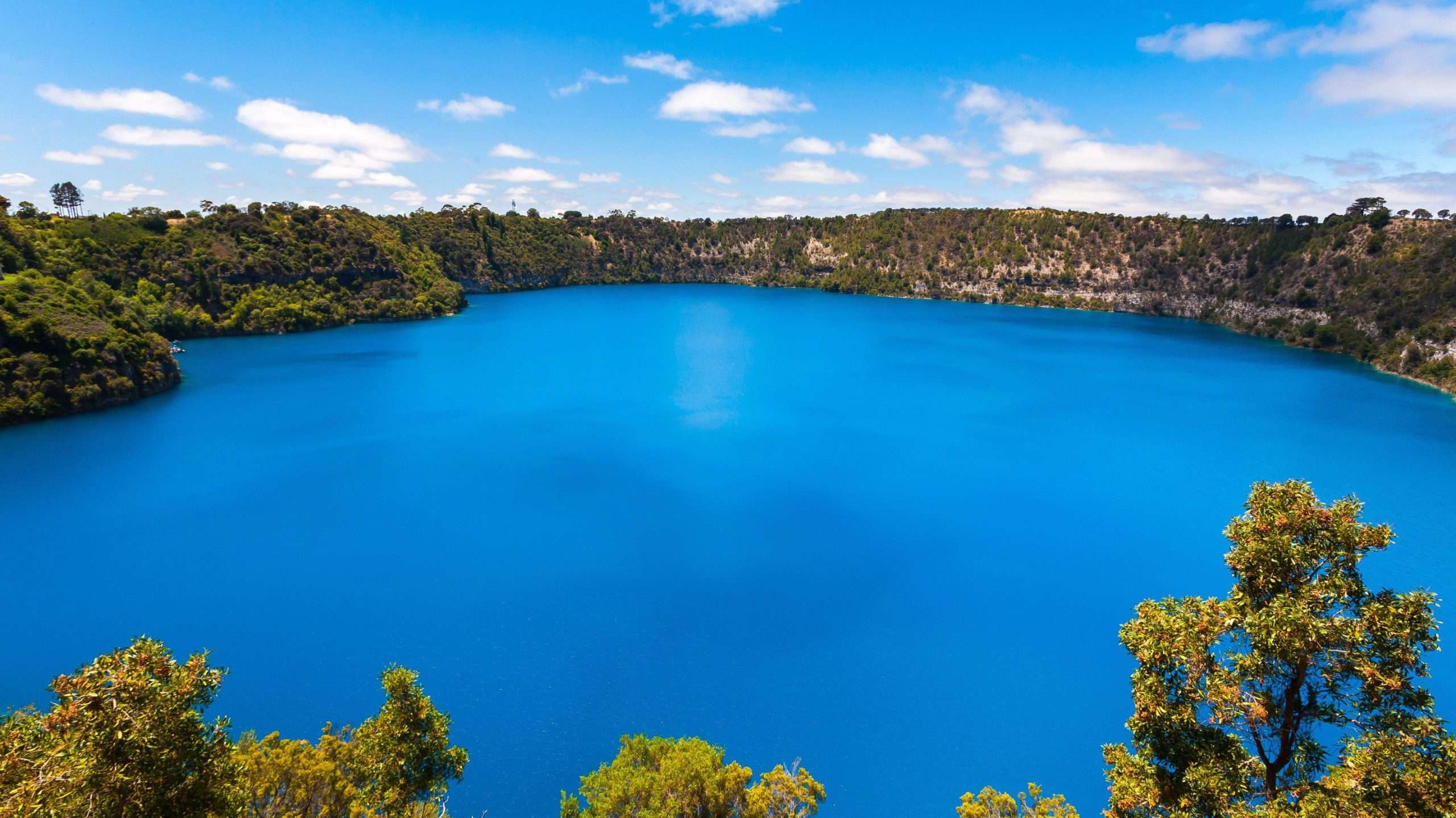 Customer Challenge Group