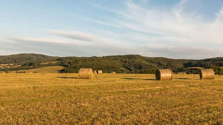 Regional Planning Submissions