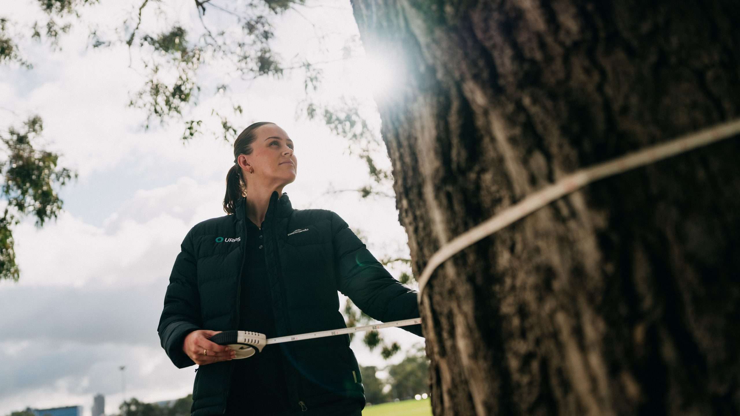 Arboriculture